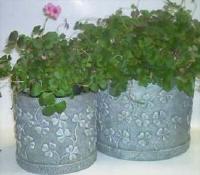 SHAMROCK PLANTER